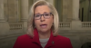 Liz Cheney issues bad news for Trump live on air
